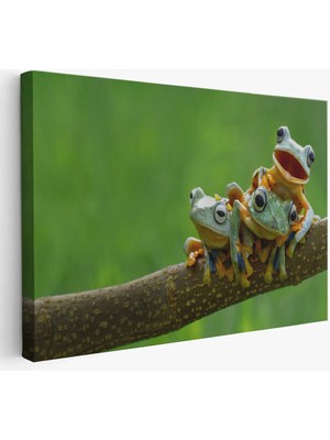 Beta Moda Hub Küçük Kurbağalar Dekoratif Kanvas Tablo
