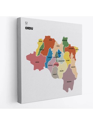 Beta Moda Hub Ordu Ili ve Ilçeler Haritası Dekoratif Kanvas Tablo