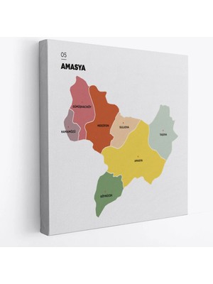 Beta Moda Hub Amasya Ili ve Ilçeler Haritası Dekoratif Kanvas Tablo