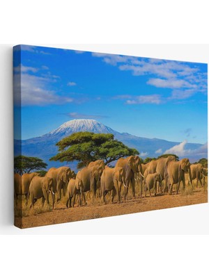 Beta Moda Hub Fil Sürüsü Dekoratif Kanvas Tablo