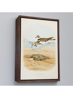 Beta Moda Hub Ahşap Çerçeveli Edwin L. Sheppard - Öldürücü Tablo - Killdeer-