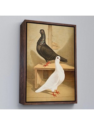 Beta Moda Hub Ahşap Çerçeveli Gustav Prütz - Sevimli Italyan Güvercinleri Tablo-