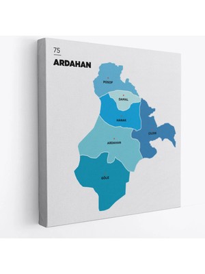 Beta Moda Hub Ardahan Ili ve Ilçeler Haritası Dekoratif Kanvas Tablo