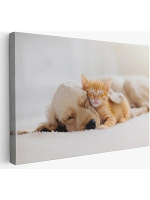 Beta Moda Hub Golden Köpek Ile Uyuyan Yavru Kedi Dekoratif Kanvas Tablo