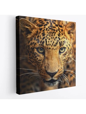 Beta Moda Hub Leopar Dekoratif Kanvas Tablo-