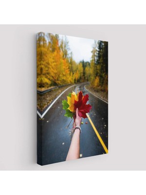 Beta Moda Hub Sonbaharın Renkli Yaprakları ve Yol Manzarası Duvar Tablosu-