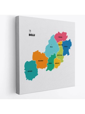 Beta Moda Hub Bolu Ili ve Ilçeler Haritası Dekoratif Kanvas Tablo