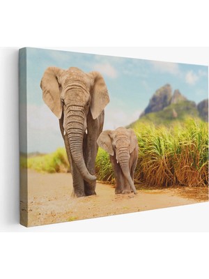 Beta Moda Hub Fil ve Yavrusu Dekoratif Kanvas Tablo
