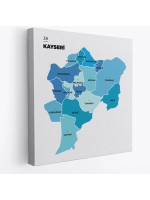 Beta Moda Hub Kayseri Ili ve Ilçeler Haritası Dekoratif Kanvas Tablo