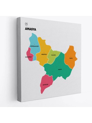 Beta Moda Hub Amasya Ili ve Ilçeler Haritası Dekoratif Kanvas Tablo