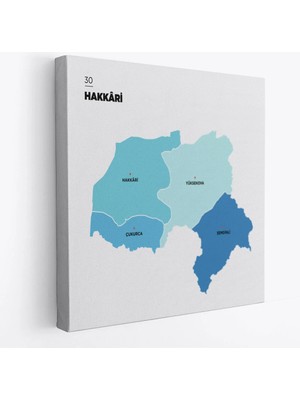 Beta Moda Hub Hakkari Ili ve Ilçeler Haritası Dekoratif Kanvas Tablo