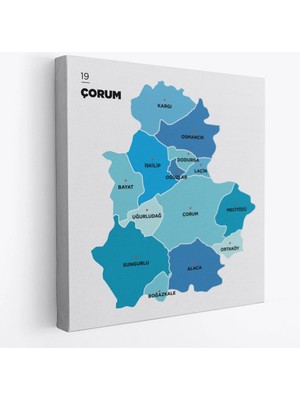 Beta Moda Hub Çorum Ili ve Ilçeler Haritası Dekoratif Kanvas Tablo