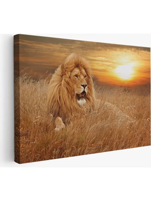 Beta Moda Hub Erkek Aslan Dekoratif Kanvas Tablo