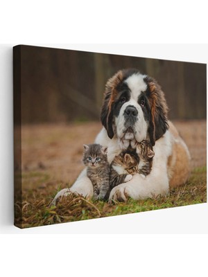 Beta Moda Hub St. Bernard Köpek ve Yavru Kediler Dekoratif Kanvas Tablo