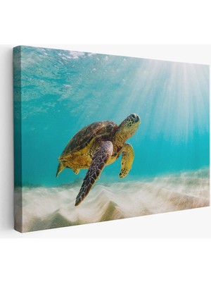Beta Moda Hub Deniz Kaplunbağası Dekoratif Kanvas Duvar Tablosu-