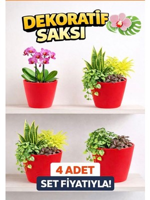 Modern Kırmızı Saksı Seti (4 Adet) | Orkide ve Ev Bitkileri Için