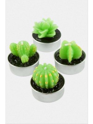 Zero Land Drnds Kaktüs Mum - Yeşil