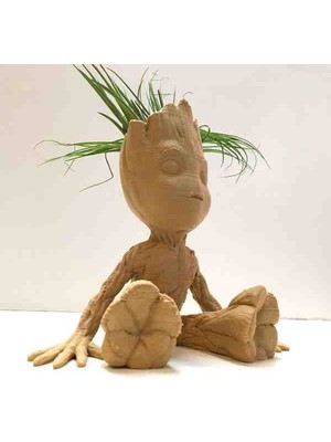 BerMey Groot Karakterli Dekoratif Saksı ve Figür