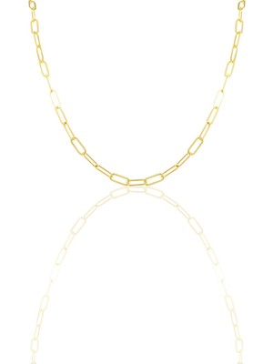 Söğütlü Silver Gümüş 925 Ayar Kadın Ataç Zincir 50 cm Altın Renkli Zarif Tasarım