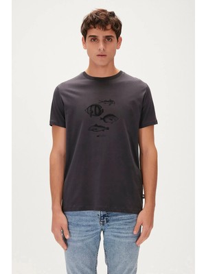 Bad Bear Drawıng Fish Antrasit Erkek Baskılı Tişört