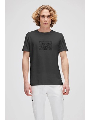 Bad Bear Wall Bear Antrasit Erkek Baskılı Tişört