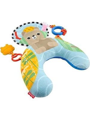 SHC4200 Fisher-Price Su Samuru Karınüstü Zamanı JHB44