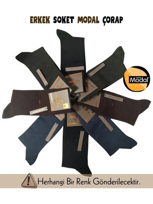 Beruflic Mısırlı 61005 Erkek Modal Soket Çorap