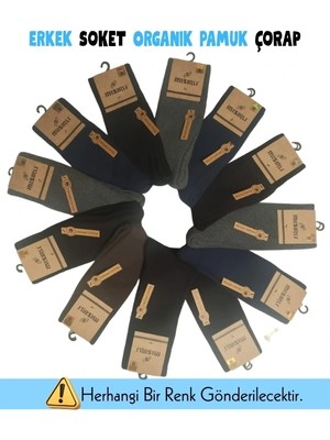 Beruflic Mısırlı 64004 Erkek Havlu Çorap