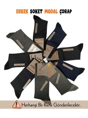 Beruflic Mısırlı 61006 Erkek Modal Soket Çorap