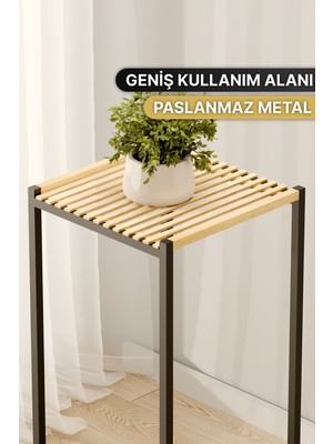 Bino 2 Katlı Saksılık Organizer Bahçe Balkon Standı Çiçeklik Dekoratif Lüks Ahşap