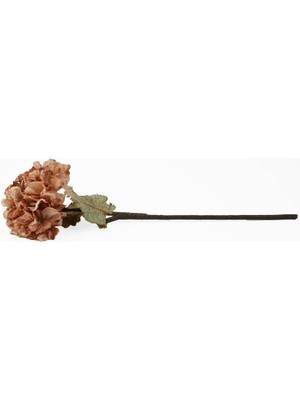 Vitale Somon Yapay Kuru Ortanca Dalı 53CM