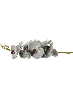 Vitale Yeşil Yapay Orkide Dalı 86CM