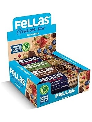 Indispensablely Fellas Granola Bar Karma Kutu, 3 Çeşit, 12 Adet