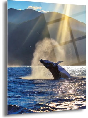 Shiny Art Kambur Balina Cam Tablo - MOD087