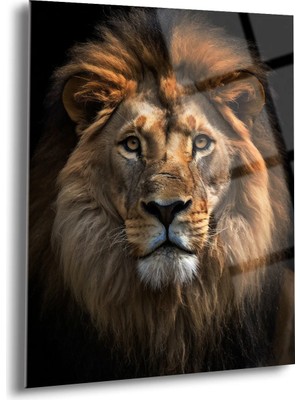 Shiny Art Korkusuz Aslan Cam Tablo - MOD102