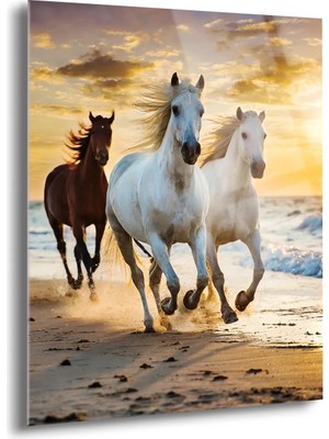 Shiny Art Sahildeki Atlar Cam Tablo - MOD101