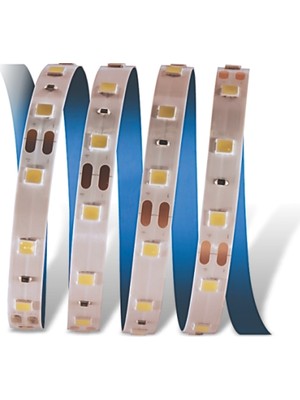 15 Metre Cata Ct 4481 Iç Mekan 10 Çipli Şerit LED 12V 3200K Gün Işığı