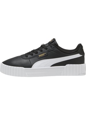 Puma Carina 30 Tdp