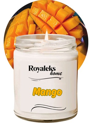 Beta Moda Hub Doğal Özel Seri Kokulu Dekoratif Kavanoz Mum 210 cc - Mango Esansı - Ryl
