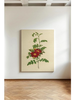 Kanvaspera Kırmızı Orman Gülü - Kanvas Tablo - Bitkisel Nostaljik Çiçek Motifli Duvar Dekorasyonu