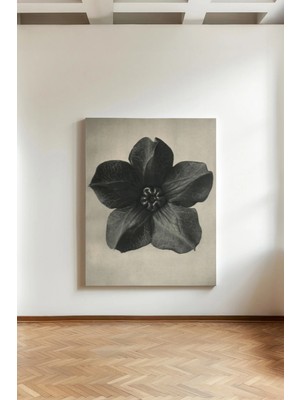Kanvaspera Tek Renk Çiçek - Kanvas Tablo - Sade ve Zarif Duvar Sanatı