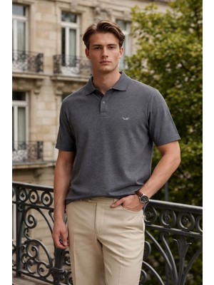 Damga Erkek Elite Comfort Füme Polo Yaka Tişört