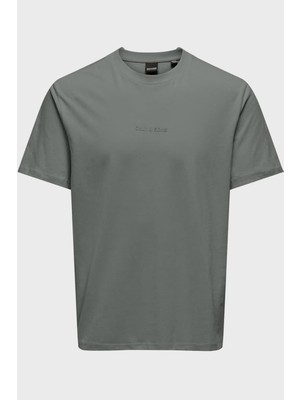 Only & Sons Onslevi % 100 Pamuk Relaxed Fit Bisiklet Yaka Logolu T Shirt Erkek T Shirt 22028147