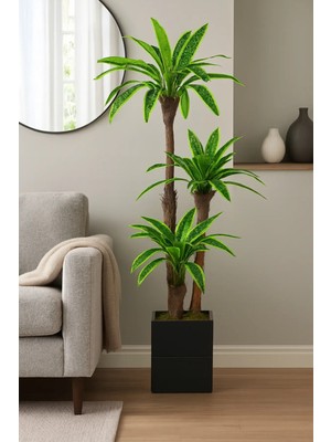 Modern Dekor Için Yapay Kılıç Ağacı – 130 cm Yükseklik