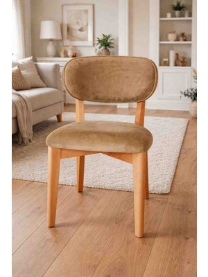 Iskandinav Tarzı Sandalye