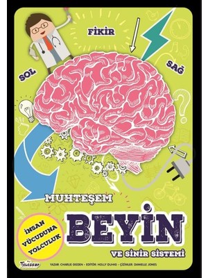 Lisinya Muhteşem Beyin ve Sinir Sistemi