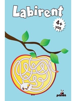 Labirent 4 Yaş