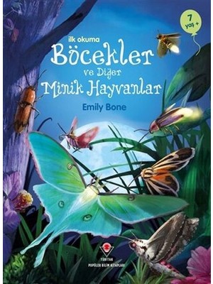 Lisinya Ilk Okuma - Böcekler ve Diğer Minik Hayvanlar