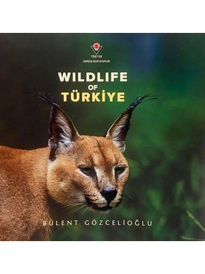 Wıldlıfe Of Türkiye