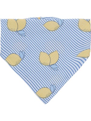 Hellobaby Kız Bebek Bandana